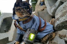 『Fallout』のVault住民のコスプレをするキュートな猫ちゃん登場！Pip-boyも再現 画像