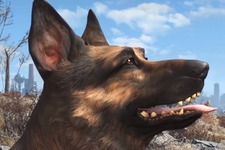 海外サイトが選ぶ『2015年ベストゲームドッグ（犬）』映像 画像