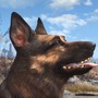 海外サイトが選ぶ『2015年ベストゲームドッグ（犬）』映像