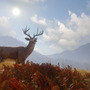 これは地味に便利！狩猟シム『theHunter: Call of the Wild』Steam版にゲーム内DLCストアベータ版実装―本編＆DLCのセールも実施中