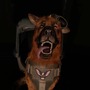 発売間近のVR専用FPS『アリゾナ サンシャイン 2』イヌが活躍する血みどろ新トレイラー！味方にマガジンを投げてもらうテクニカルな場面も