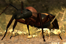 働きアリの生活体験！サバイバルシム『Ant Simulator』が開発中 画像