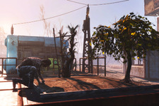 Bethesdaスタッフが挑戦！『Fallout 4』新DLC「Wasteland Workshop」プレイ映像 画像