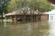 格闘バイクレース『Road Redemption』正式リリース延期―ルイジアナ州の洪水の影響で 画像