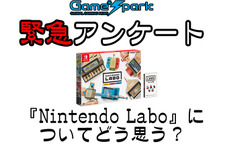 【緊急アンケート】『Nintendo Laboについてどう思う？』回答受付中！ 画像