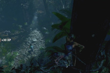 ジャングルとひとつに…『シャドウ オブ ザ トゥームレイダー』プレイ映像！【E3 2018】 画像