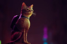 【UPDATE】サイバーパンクな世界を猫が往く……新作ADV『STRAY』PS5向けに2021年発売 画像