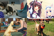 電脳ペットに癒やしを求めるのは間違っているだろうか？犬や猫が飼えるゲーム5選！ 画像