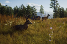オープンワールド狩猟アクション『Way of the Hunter』発表！広大なマップでリアルにこだわった狩猟を体験しよう 画像