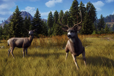 狩猟SLG『Way of the Hunter』新たな武器パック追加や不具合修正を含む最新アップデート配信 画像
