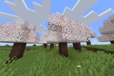『マインクラフト』次期アプデ「桜の木」追加で「竹MOD」がTwitterトレンド入り―“かつての桜の木”を思い出すユーザーたちが続出 画像