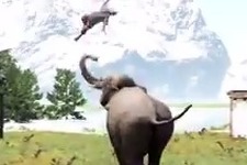 地形のみならず野生動物も！『Far Cry 4』マップエディターを紹介する海外向け最新映像 画像