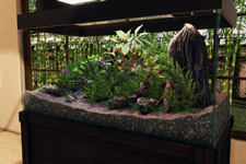 自然を切り取り美しい「水景」をあなたの手で…！室内水景構築シム『Aquascapers』早期アクセスでリリース 画像