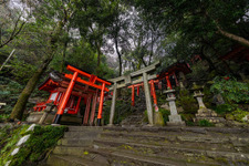 佐賀県観光で感じる『リネージュW』の世界観！日本三大稲荷、日本酒やお茶、温泉を楽しみ尽くす 画像