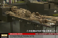 ロンドンの工事現場にて身長2m超の未知なる生物の骨が発見！？ 画像