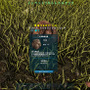 【特集】いよいよ国内で発売！PS4版『ARK: Survival Evolved』を今から遊ぶべき「10の理由」を伝授