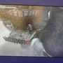 PS4版『ワンダと巨像』最速ハンズオン！パリゲームウィーク前夜祭で再会したあの「達成感」…