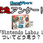【緊急アンケート】『Nintendo Laboについてどう思う？』回答受付中！