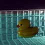 プール付きの家でダラダラ過ごす時間はいかが？日がな一日アヒルを眺める『Placid Plastic Duck Simulator』【爆レポ】