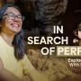 洞窟探検ローグライク『Spelunky』クリエイターと一緒に洞窟探検するドキュメンタリー3月8日公開