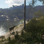 新たな狩猟地はオーストラリア！『theHunter: Call of the Wild』最新DLC「Emerald Coast」発表―リリース同時期に無料アップデートも実施