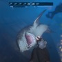 Steam納涼サメゲーム5選―海水浴は楽しいのうスパ君…んっありゃなんじゃ…？さっサメじゃあー！【特集】