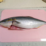 『デイヴ・ザ・ダイバー』の寿司屋にあこがれて鮮魚をさばく―ハードコアゲーミング料理第14回