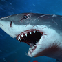 鮫にもダイバーにもなれる海底ステルスACT『Depth』Steamで正式リリースへ