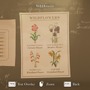 植物学者となり希少な種の育成に挑む『Botany Manor』“好評”スタート―美しい英国式マナーハウスで謎解きする一人称視点探索＆パズルゲーム