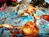 蟹だ！蟹になれ、蟹対戦ACT『カニノケンカ -Fight Crab-』Steam配信開始 画像
