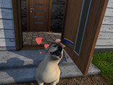 シリーズ初のマルチ実装！犬や猫と暮らすお家を作るVRリフォームシム『House Flipper Pets VR』Steamで12月16日配信 画像