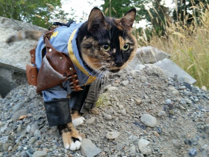『Fallout』のVault住民のコスプレをするキュートな猫ちゃん登場！Pip-boyも再現