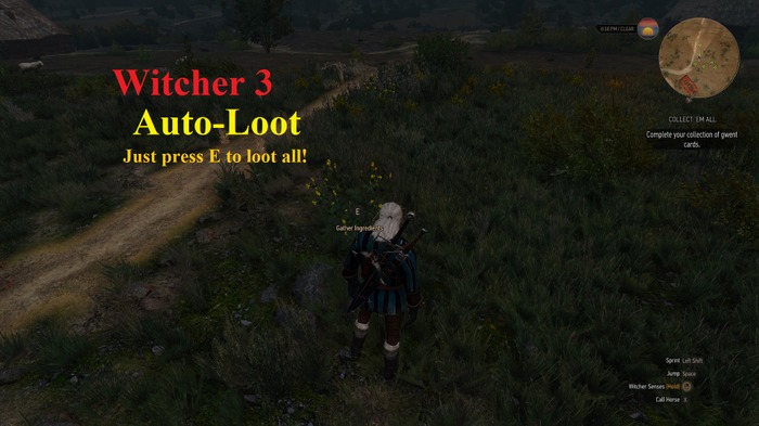 【このModがスゴイ】『The Witcher 3』絶対に取り逃さない！「Auto Loot」アイテム自動回収