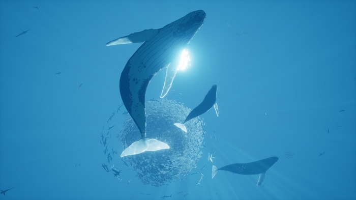 『ABZU』等の“海ゲー”多数収録「Humble Oceans Day Bundle」が販売―鯨とイルカの保護活動に