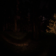 無料プレイホラー『Siren Head: The Horror Experience』Steamで公開―警官となってサイレンヘッドが潜む森を捜査